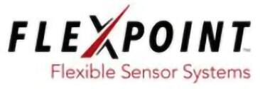 FlexPoint